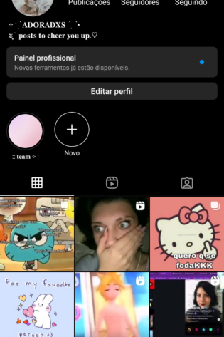 Conta Instagram com 13,7k engajada