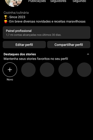Conta Instagram com 76,9k engajada demais