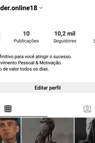 Instagram com seguidores Bots