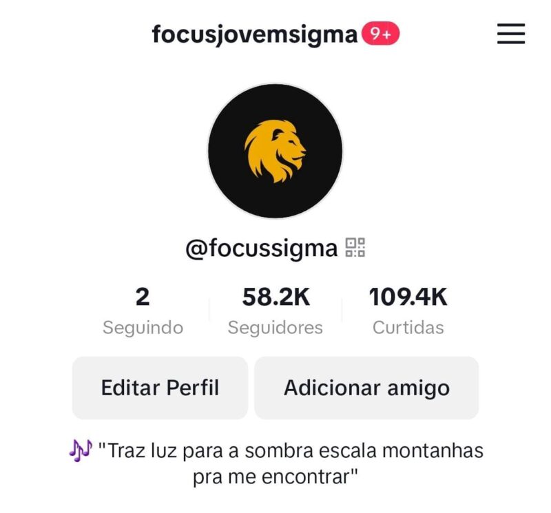 Tiktok de Motivação