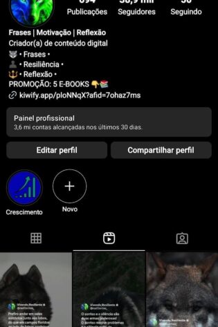 Instagram de Motivação