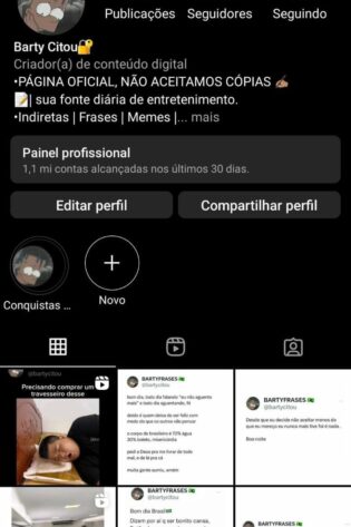 Instagram de Memes Muito Engajado