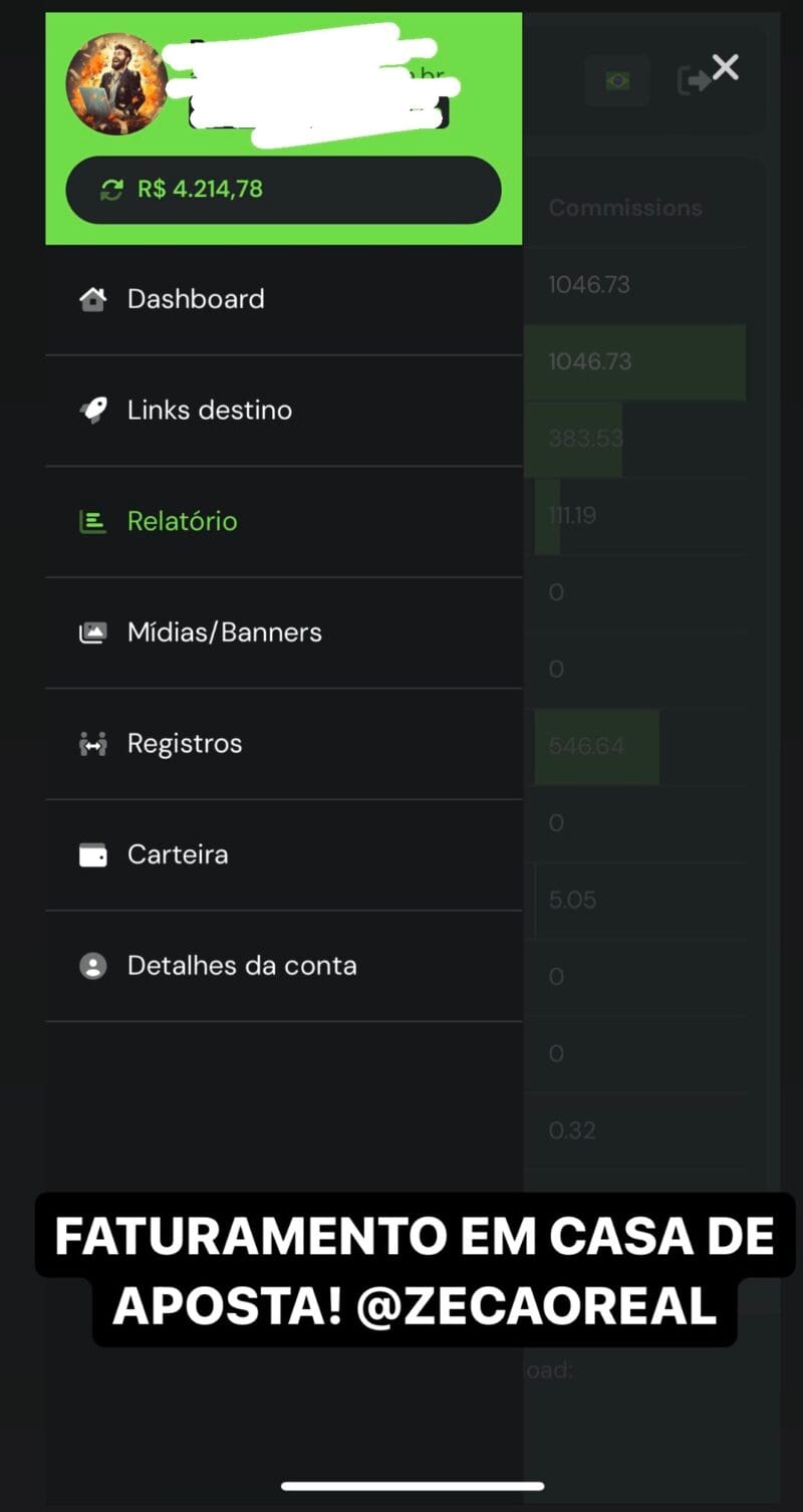 CONTA SECUNDARIA ZECA - Imagem 8