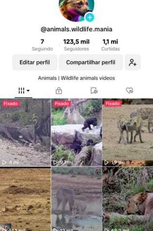 Tik Tok Monetizado a venda (120K+ de Seguidores e 1M+ de Curtidas)