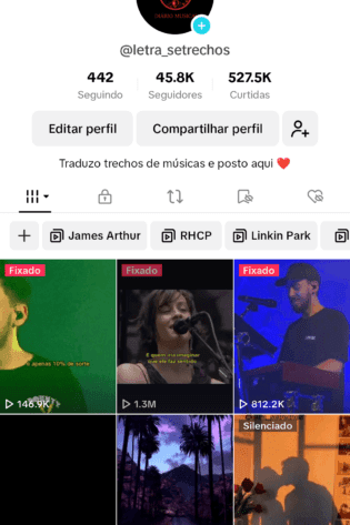 Conta TikTok monetizado