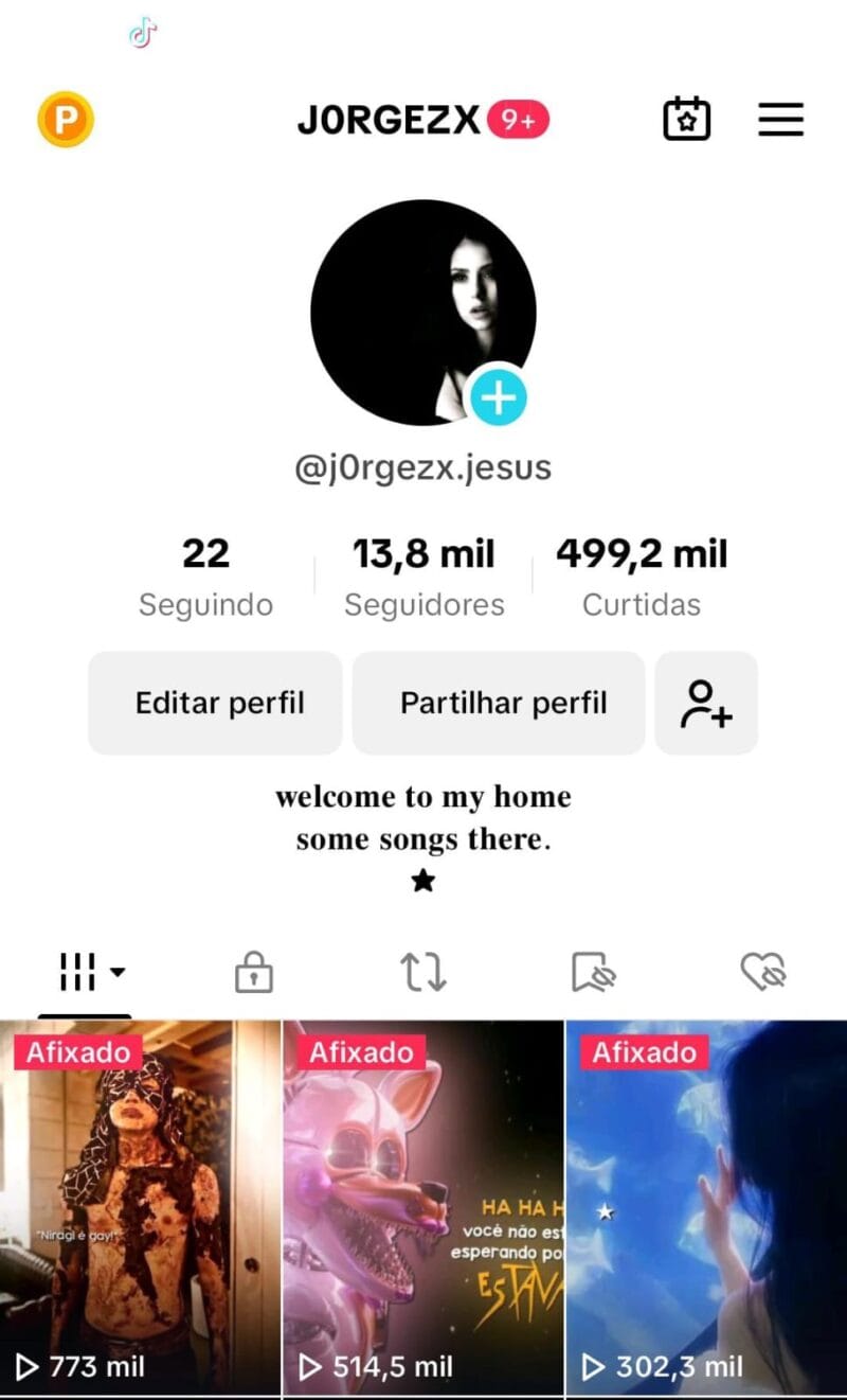 Instagram engajado
