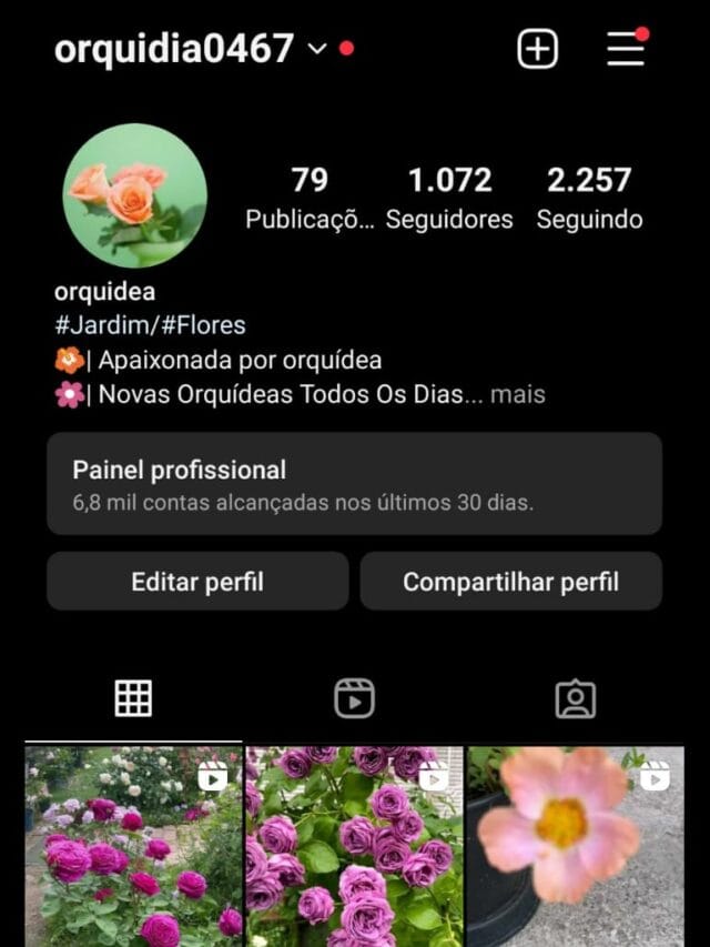 Instagram a Venda