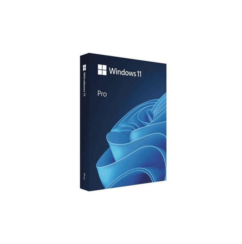 Windows 11 Pro -