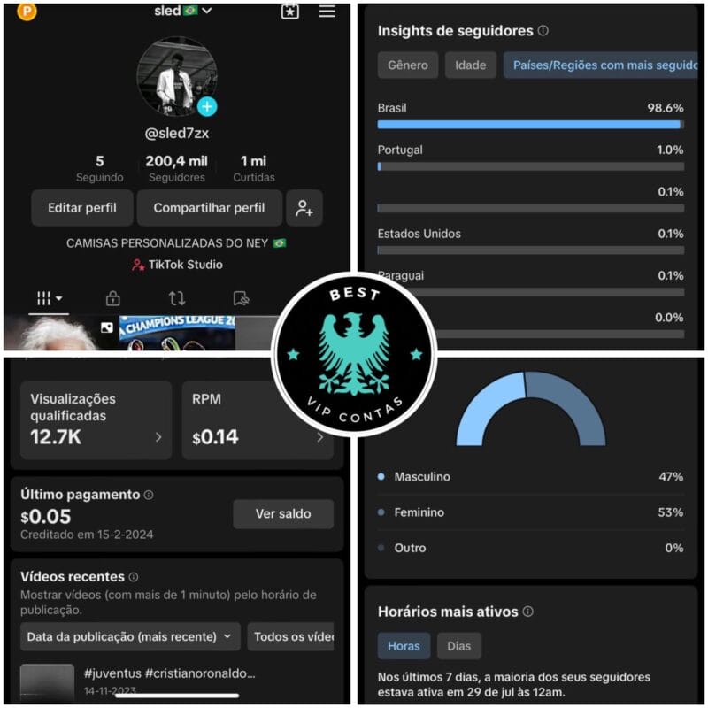 Tiktok 200 mil seguidores orgânico e Monetizado!