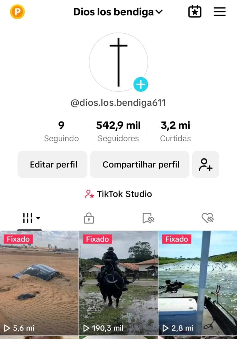 Tik Tok monetizado a venda