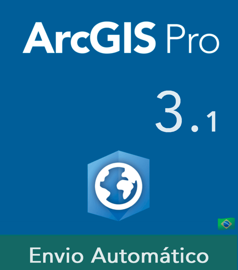 Arcgis Pro 3.1