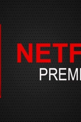 TELA NETFLIX PREMIUM – ENTREGA RÁPIDA