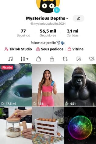 Tiktok Monetizado a Venda