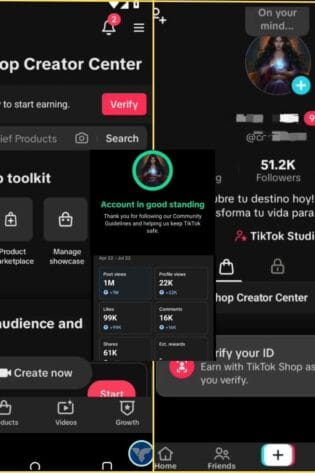 Tiktok Monetizado a Venda