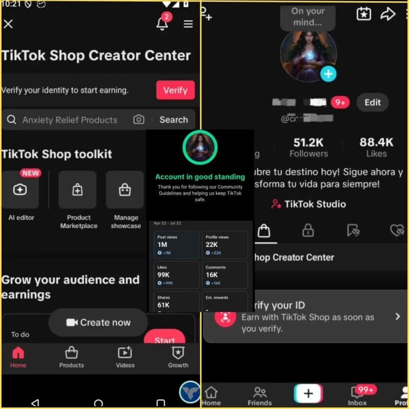 Tiktok Monetizado a Venda