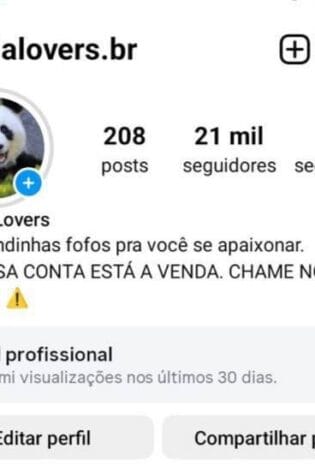 Instagram de Pets a Venda