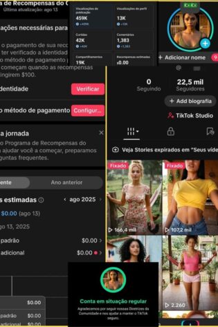 Tiktok Monetizado a Venda
