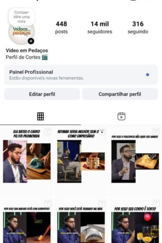 Perfil de Cortes