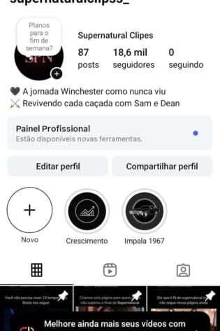 Perfil de Series