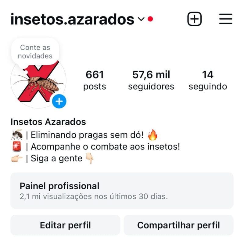 Instagram de Insetos