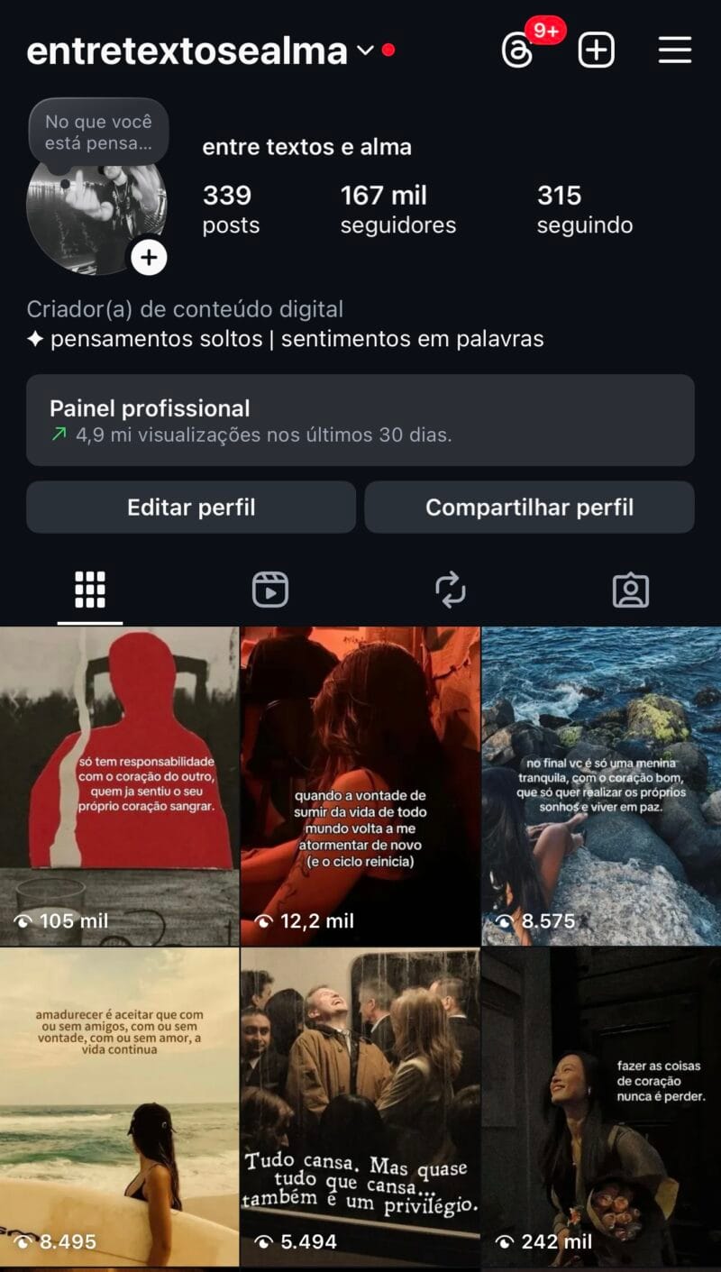 Página Instagram +167K Nicho Frases
