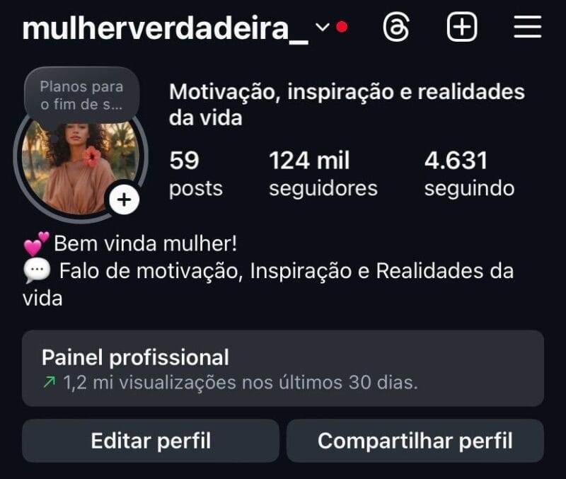 Instagram de Frases Com Público Feminino