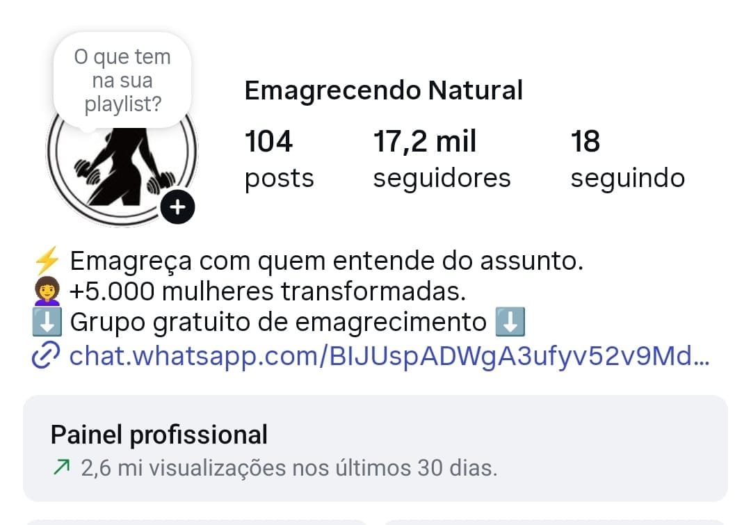 Instagram De Emagrecimento/Fitness 1 Instagram De Emagrecimento/Fitness