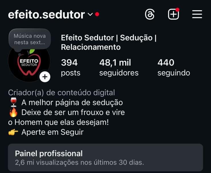 Instagram de Nicho de Sedução/Relacionamento a Venda
