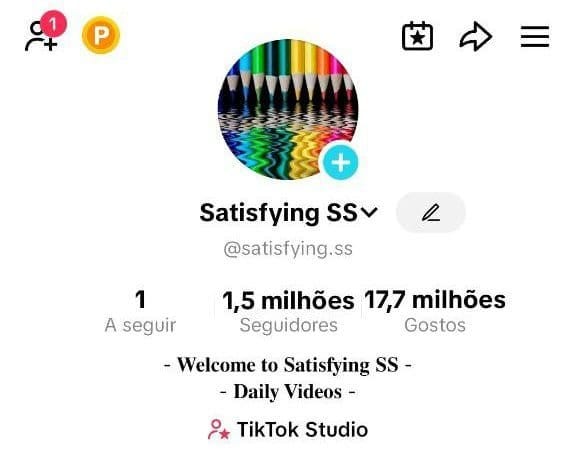 Tiktok a Venda 1,5M de Seguidores 2 Tiktok a Venda 1,5M de Seguidores