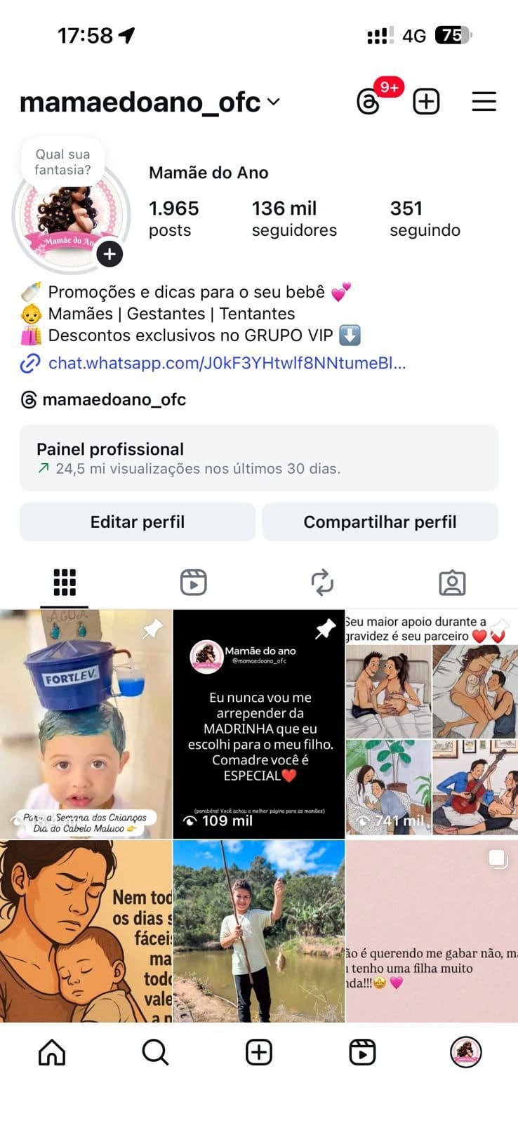 Instagram de Nicho de Maternidade