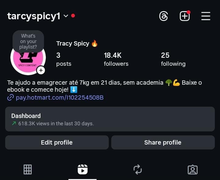 Instagram de Emagrecimento 2 Instagram de Emagrecimento