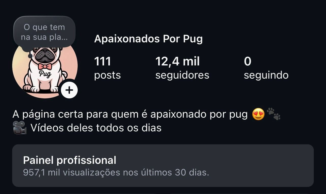 Insta de Pet/Animais a Venda