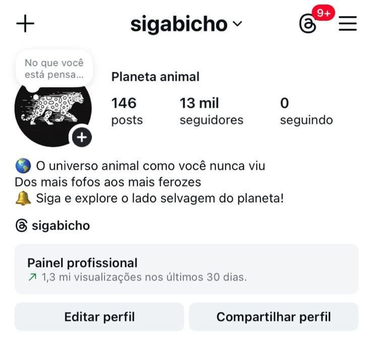 Perfil do Instagram de Animais a Venda