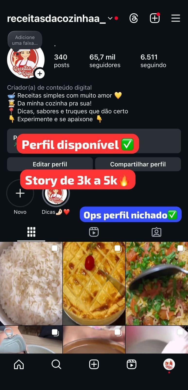 Perfil do Instagram Engajado a Venda