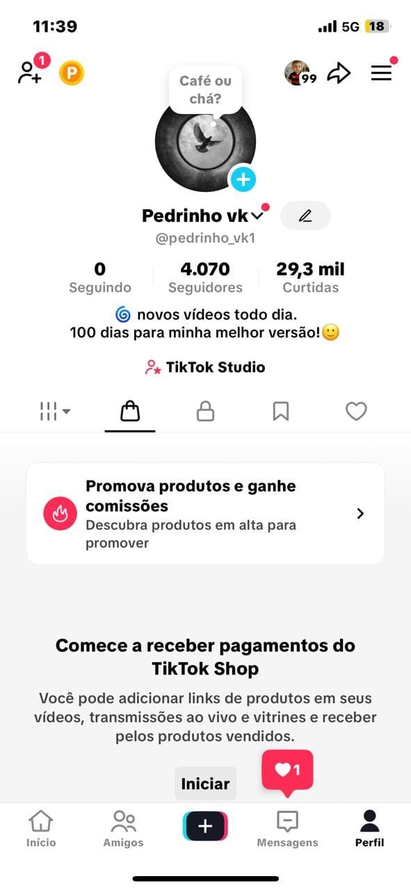 Tiktok Shop a Venda ✅