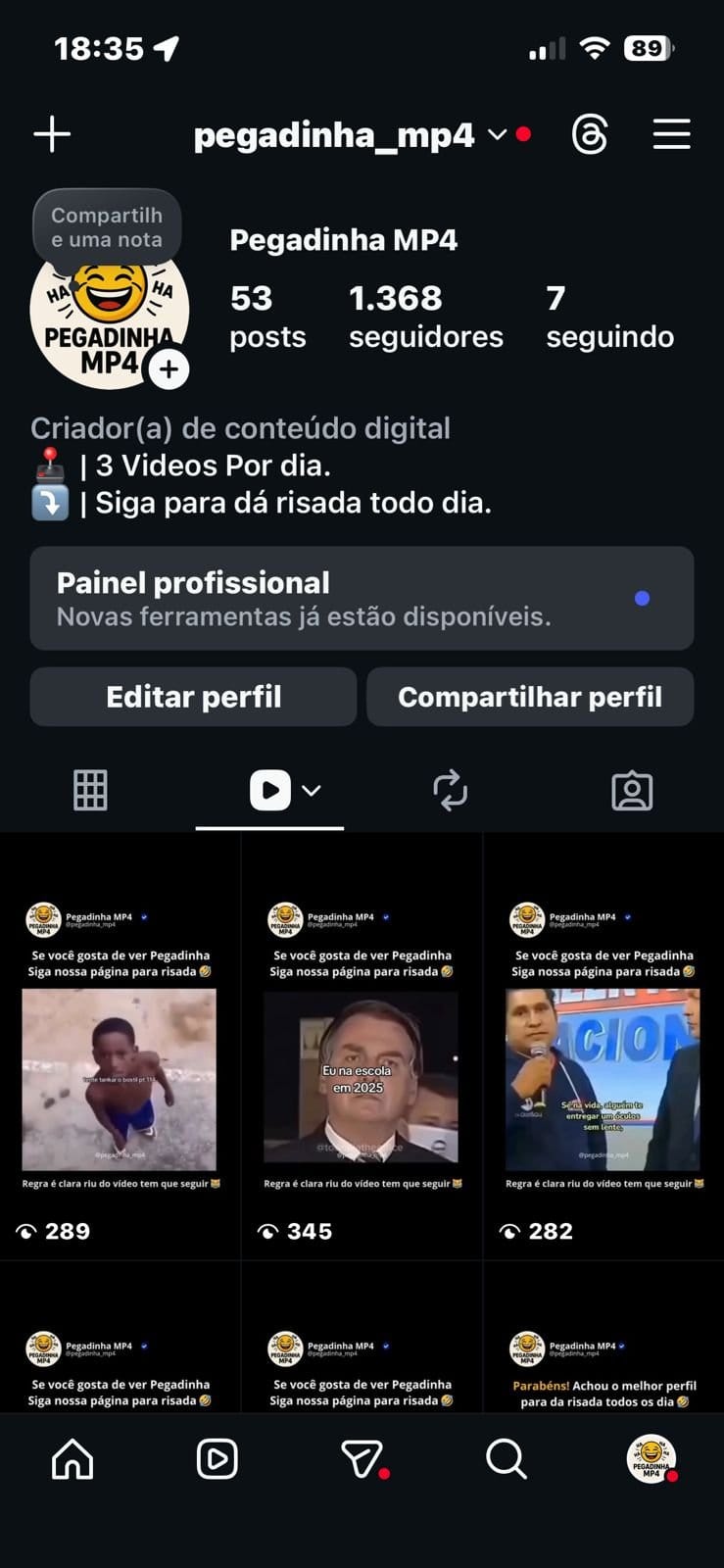 Instagram de Memes Engajado