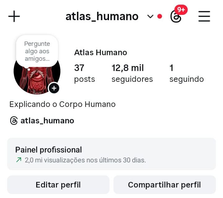 Instagram do Nicho de Saúde a Venda