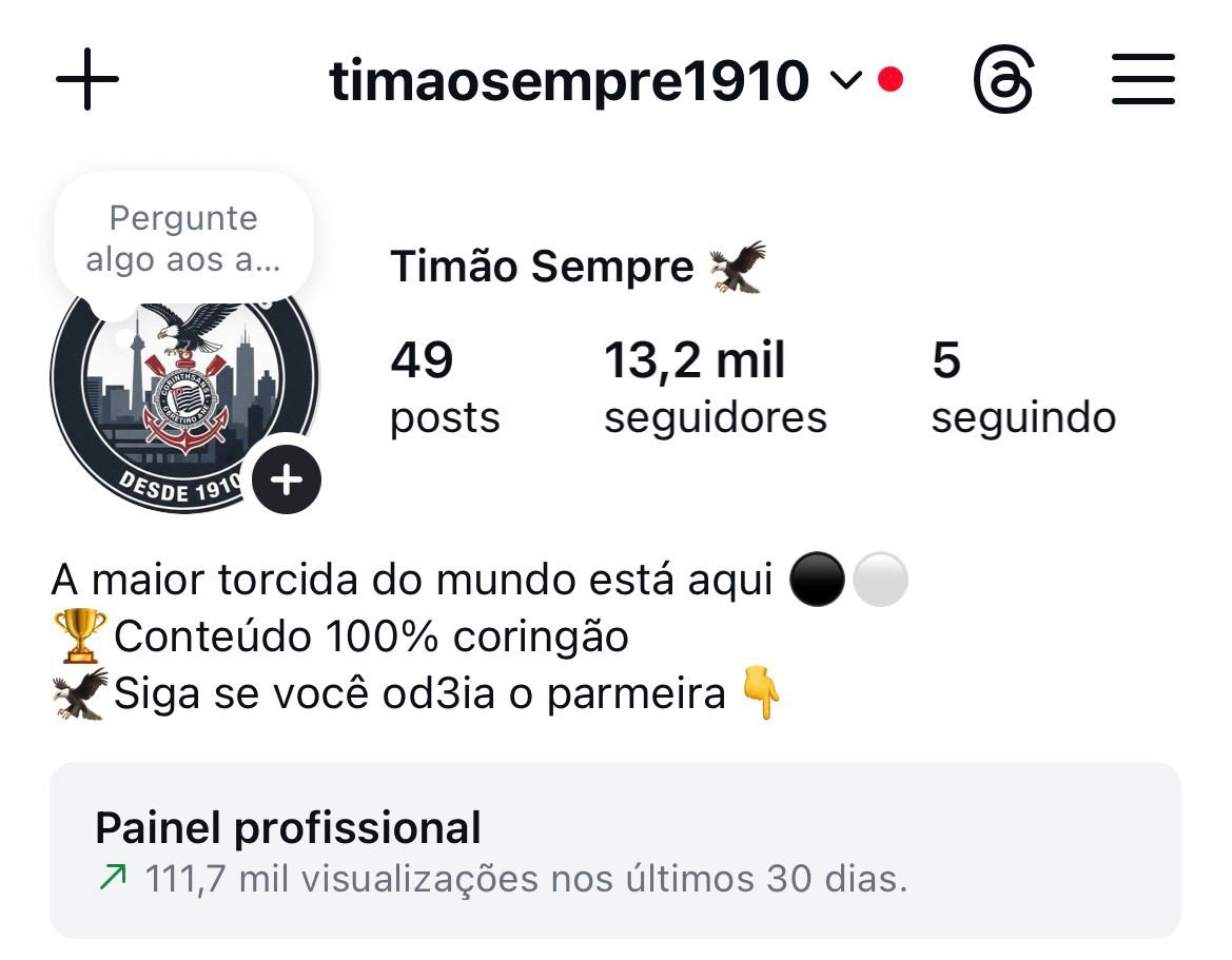 Perfil do Corinthians 2 Perfil do Corinthians