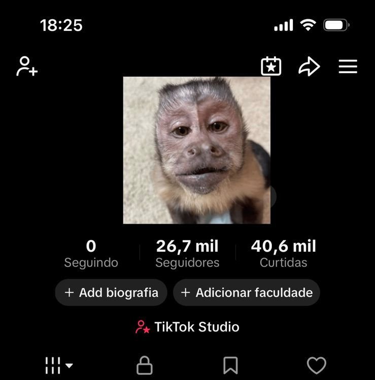 Conta do Tiktok Sem Shop ativo