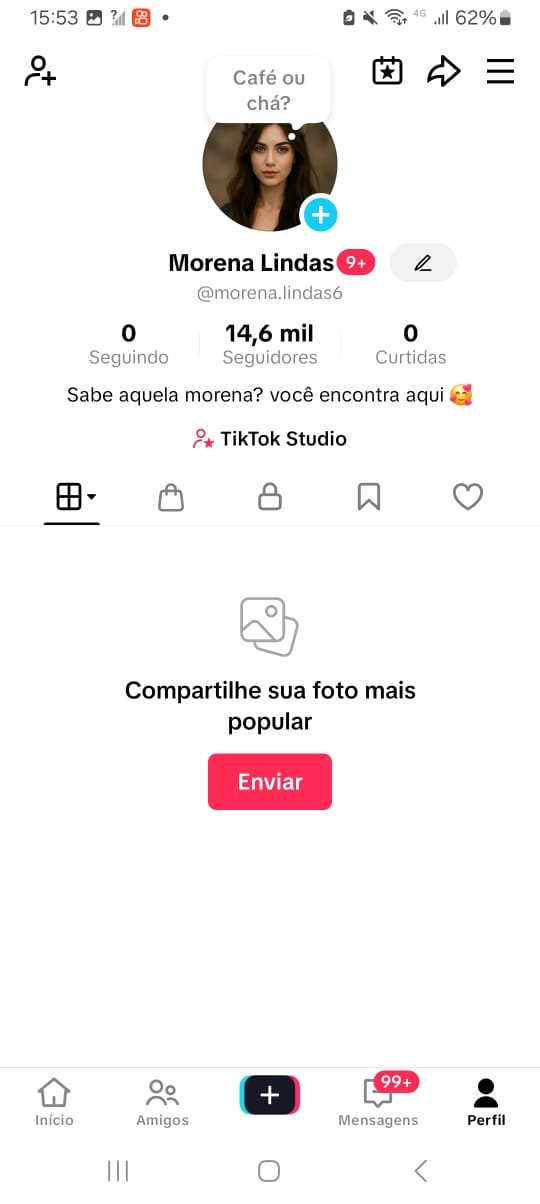 Perfil no Tiktok Com Engajamento 2 Perfil no Tiktok Com Engajamento