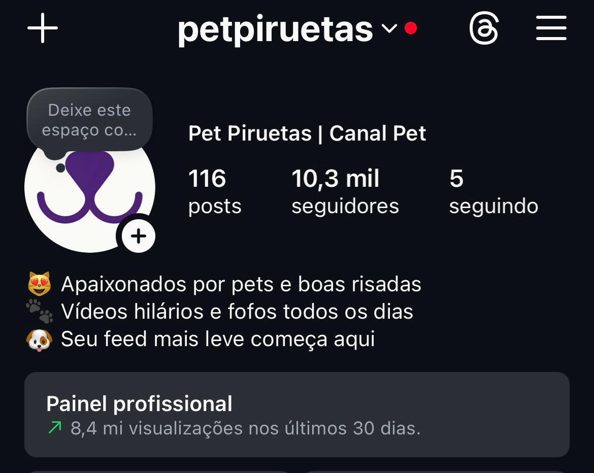 Instagram de Pets a Venda