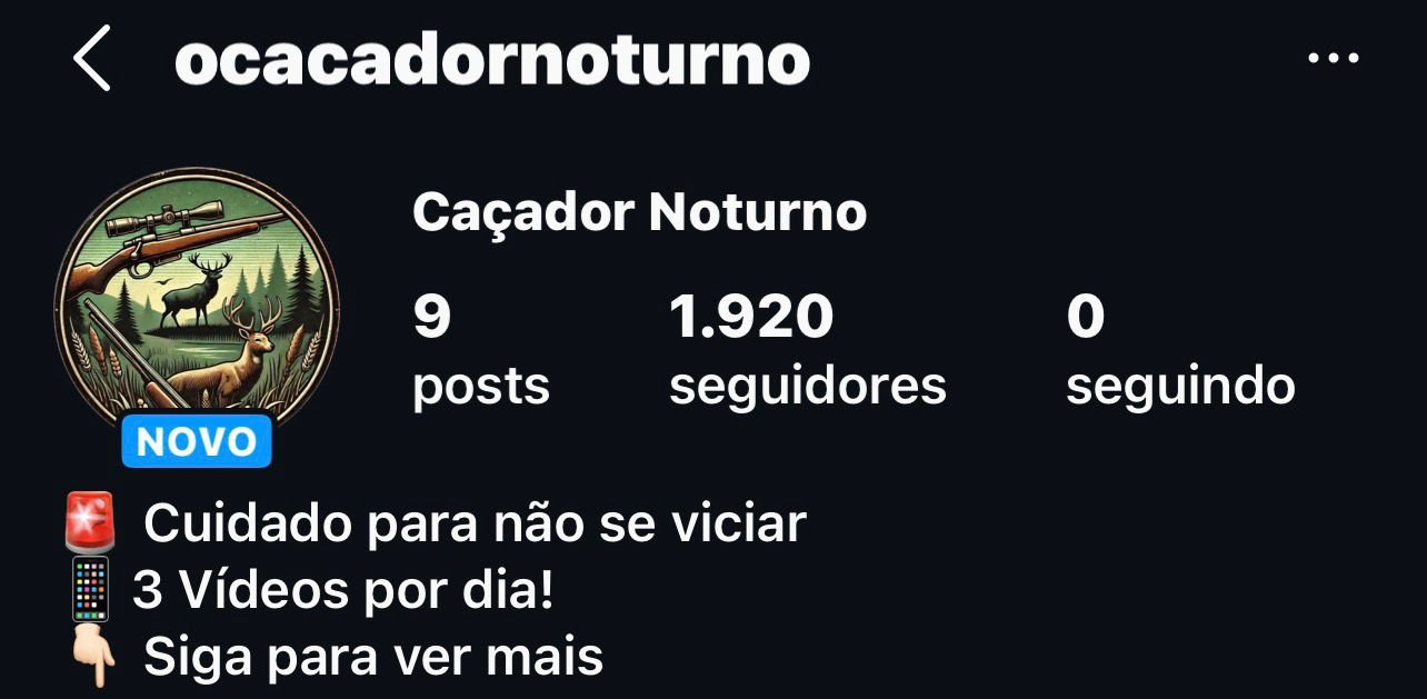 Perfil de Caça Noturna 2 Perfil de Caça Noturna
