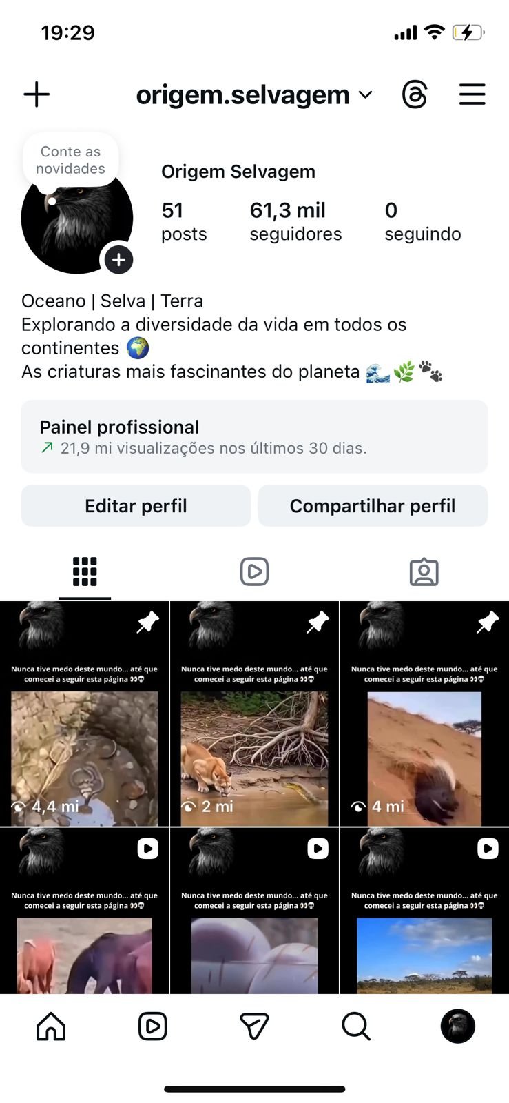Instagram de Cortes de Animais Selvagens