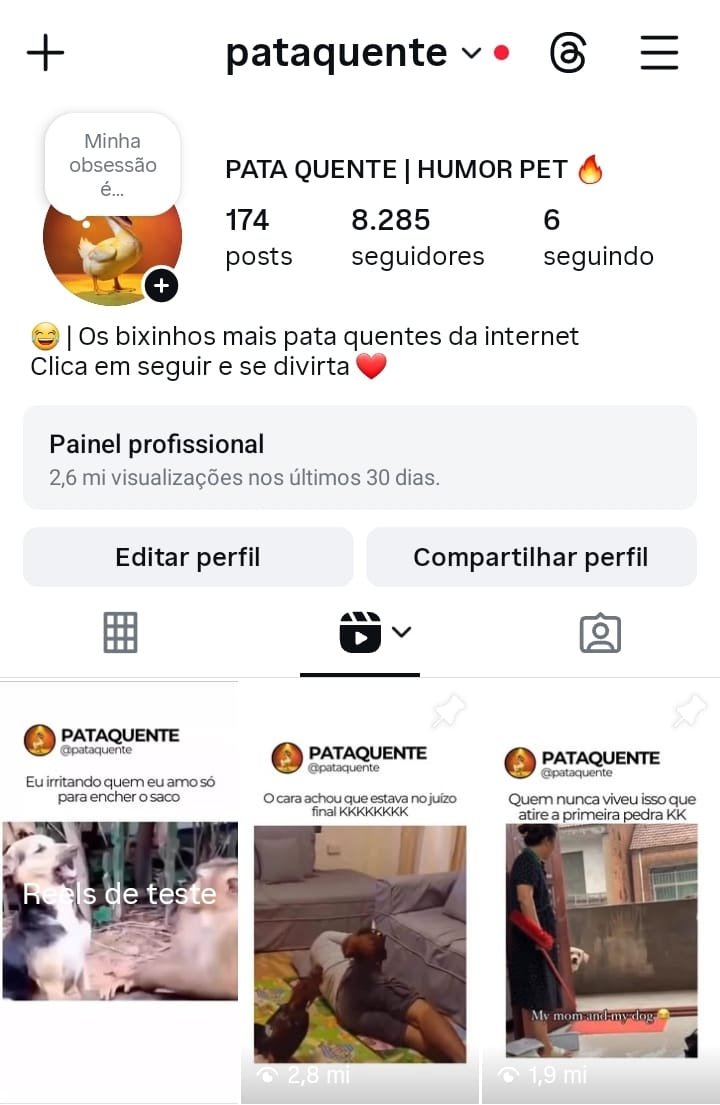 Instagram de Nicho de Pet a Venda 1 Instagram de Nicho de Pet a Venda