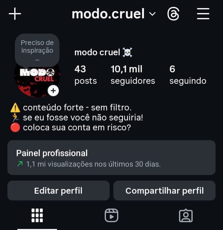 Conta do Instagram de Nicho Sensível Muito Engajada