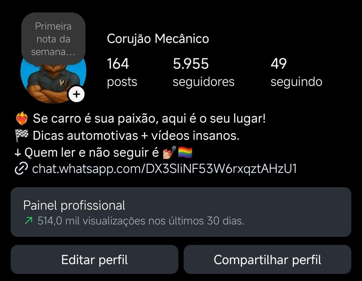 Instagram de Nicho Automotivo 2 Instagram de Nicho Automotivo