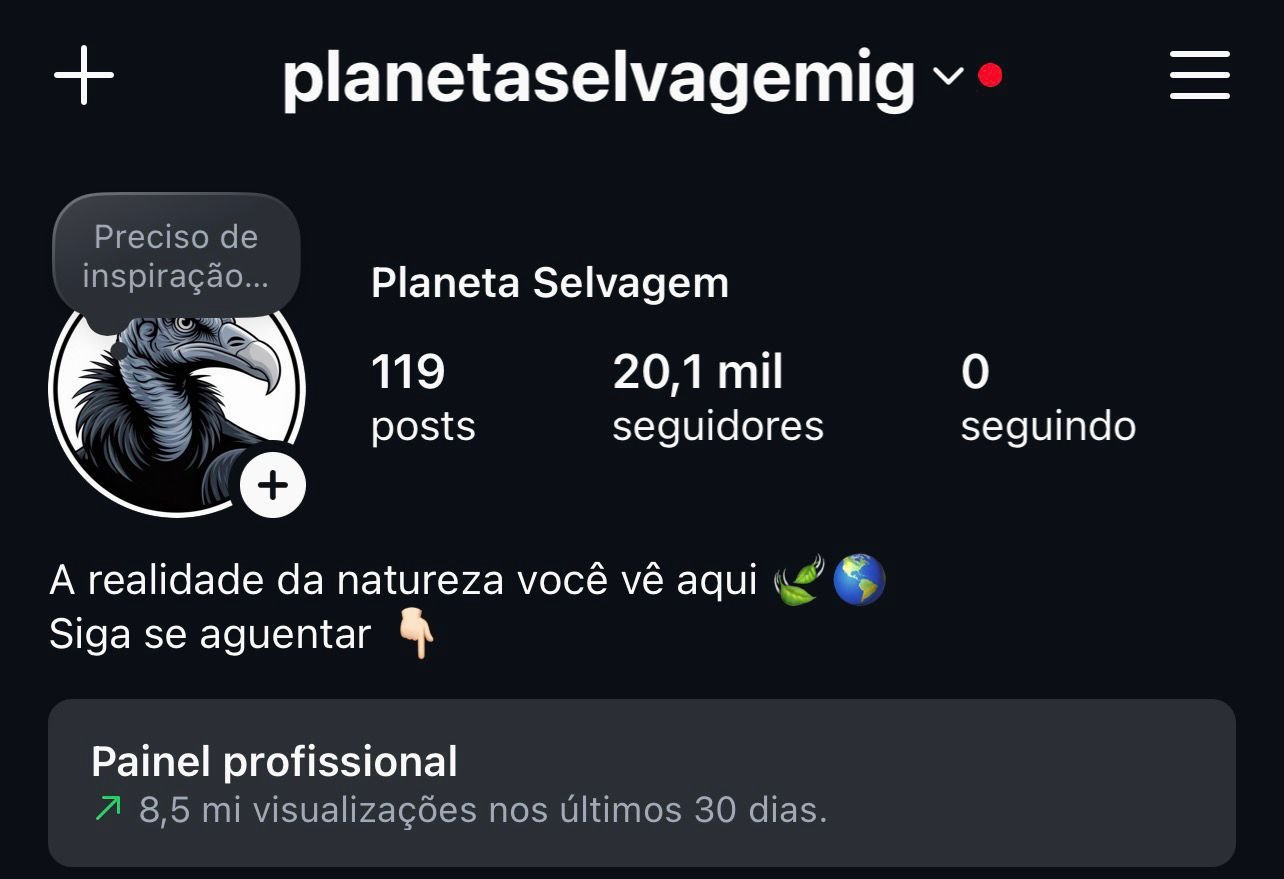 Instagram de Natureza Selvagem