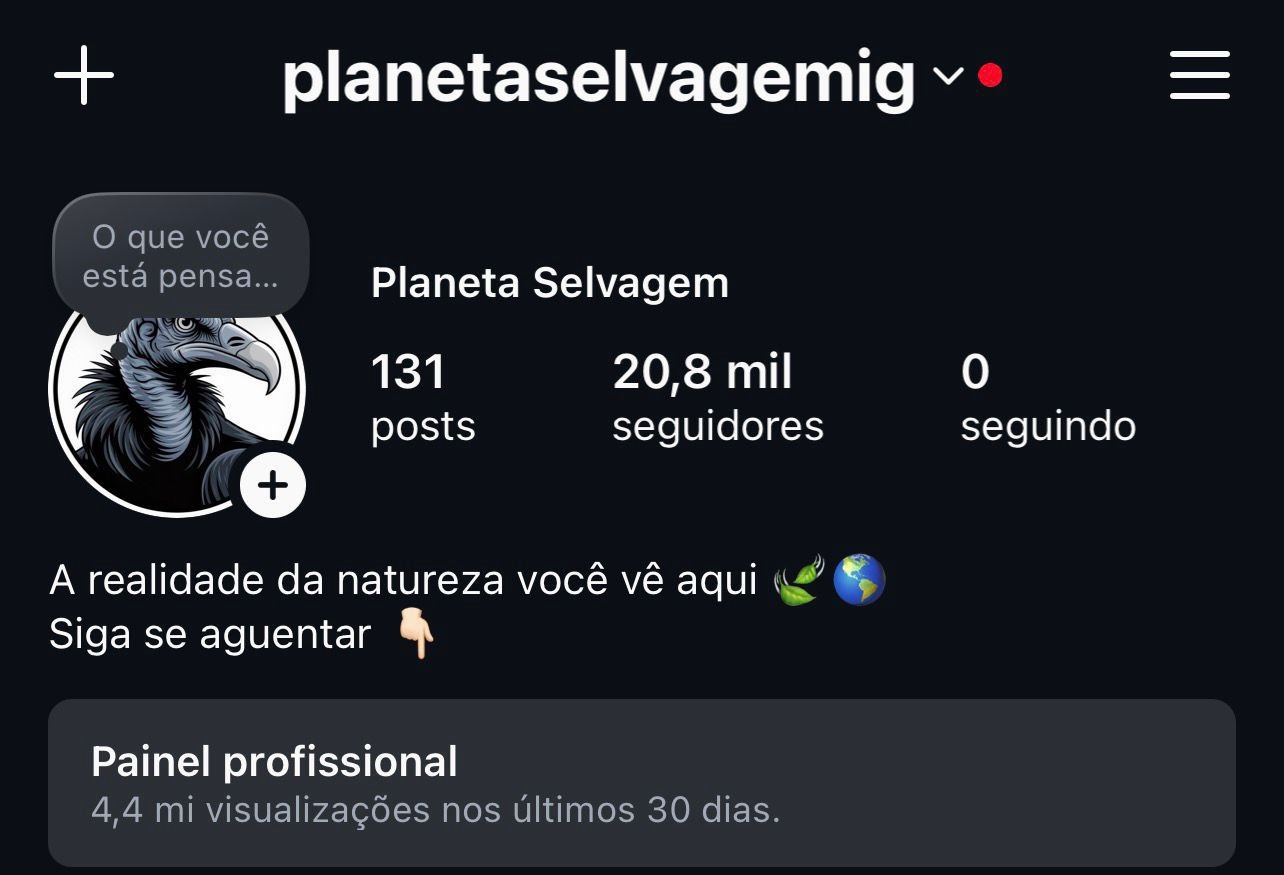 Instagram de Planeta Selvagem