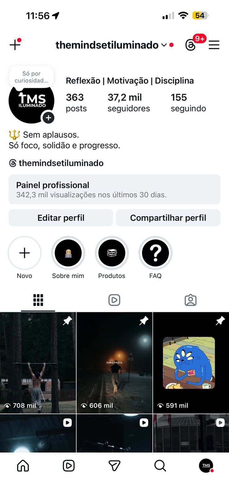 Perfil de Reflexão/Motivação 2 Perfil de Reflexão/Motivação
