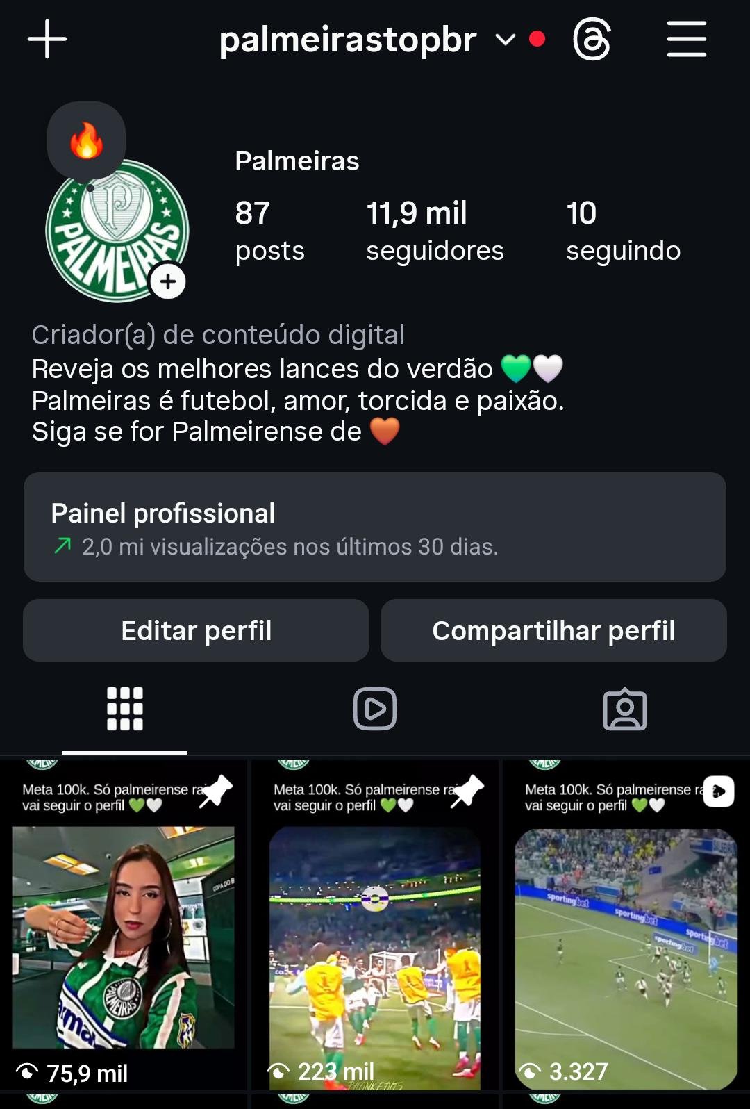 Perfil de Fan Club do Palmeiras 2 Perfil de Fan Club do Palmeiras